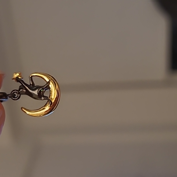 Cat holding a golden star - Picture 3 of 6